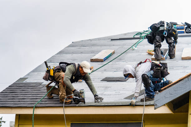 Professional Gutter Installation technician working in Danbury, TX